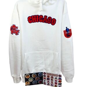Special Edition Negro league Hoodie